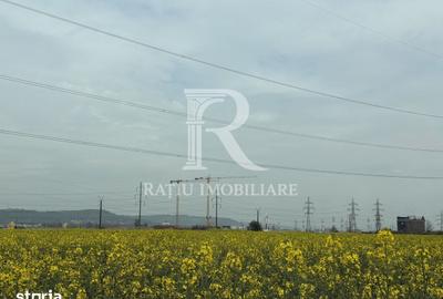 Teren de 15536 mp, în Nufărul - 2