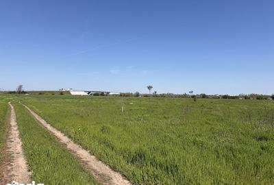 Teren de 400 mp, în Central - 5