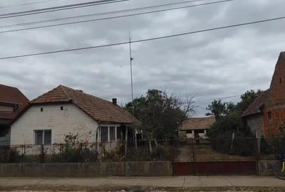 Casă cu 3 camere în Cenei