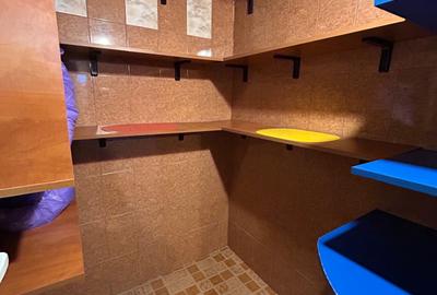 Apartament cu 2 camere decomandat în Cornetu - 9