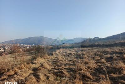 Teren de 3000 mp, în Curtești - 5
