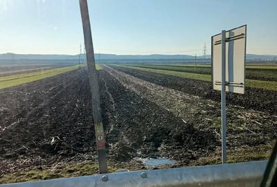 Teren de 12500 mp, în Brănești - 1