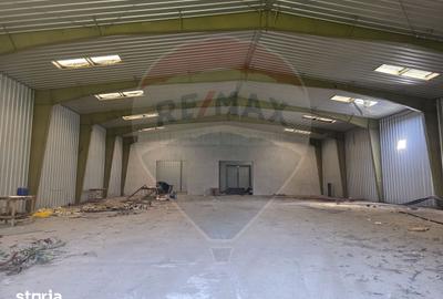 Teren de 12400 mp, în Glina - 1