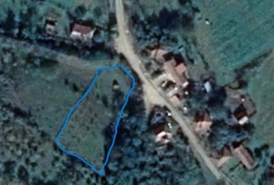 Teren de 1591 mp, în Nicula - 2