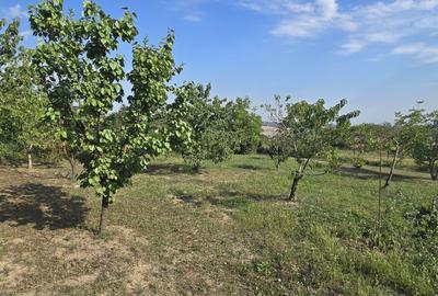 Teren de 2400 mp, în Central