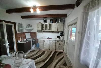 Casă cu 2 camere cu Teren 2000 Mp în Dumbrava (Unirea)