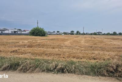 Teren de 730 mp, în Șerbănești
