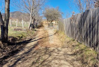 Teren Construcții intravilan de 4000 mp, în Alexandru cel Bun - 2