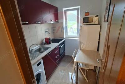 Apartament cu 2 camere decomandat, mobilat în Sud