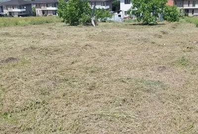 Teren de 854 mp, în Dezmir - 1