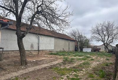 Casă cu 4 camere cu Teren 700 Mp în Rontău - 5