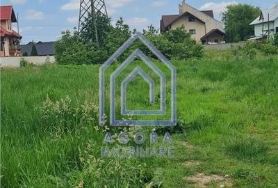 Spațiu comercial, în Sfântu Ilie