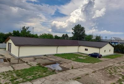 Spațiu industrial, de 1,000 mp, în Brazii de Sus
