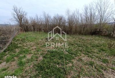 Teren de 1295 mp, în Berghin