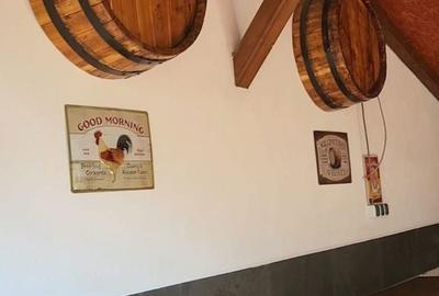 Casă cu 6 camere cu Teren 2500 Mp în Fulga - 2