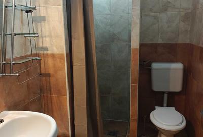 Casă cu 4 camere cu Teren 230 Mp în Drumul Carului