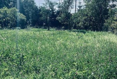 Teren de 2600 mp, în Ocina de Jos