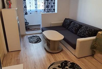 Apartament cu 2 camere semidecomandat în Valea Muscelului - 8