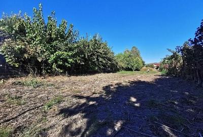 Teren Construcții intravilan de 1585 mp, în Ostroveni - 4