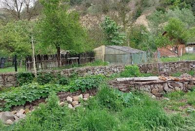 Casă cu 5 camere cu Teren 500 Mp în Petnic - 4