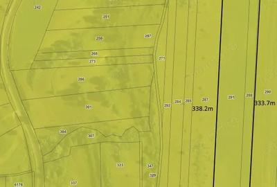 Teren de 20000 mp, în Saschiz - 4