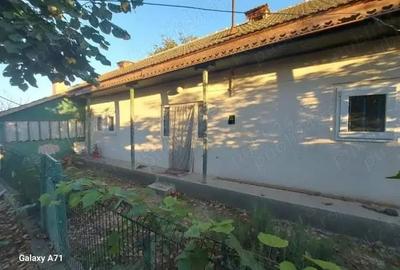 Casă cu Teren 3447 Mp în Satu Nou - 3