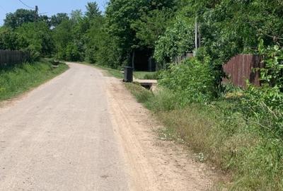 Teren Construcții de 15000 mp, în Mereni (Conțești) - 4
