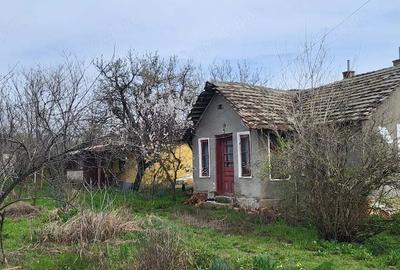 Casă cu Teren 2000 Mp în Plenița - 4