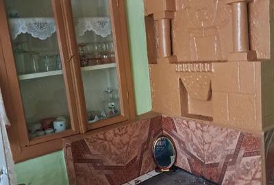 Casă cu Teren 1550 Mp în Răducăneni