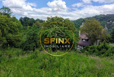 Teren Construcții intravilan de 5438 mp, în Breaza - 5