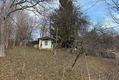 Casă cu 2 camere în Nistorești