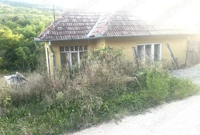 Casă cu 2 camere în Ormeniș