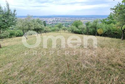 Teren Construcții extravilan de 10040 mp, în Valea Borcutului - 1