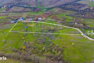 Teren de 33500 mp, în Bucov - 11