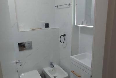 Apartament cu 2 camere decomandat în Herăstrău - 3
