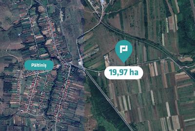 Teren agricol extravilan de 199788 mp, în Glimboca - 3