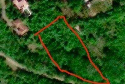 Teren de 5000 mp, în Ghioroc