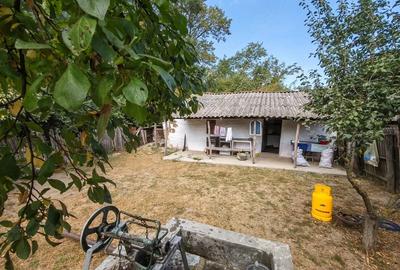 Casă cu 3 camere cu Teren 1264 Mp în Potcoava