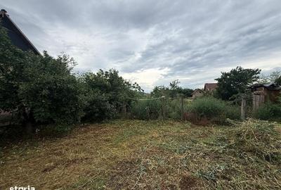 Casă cu 2 camere în Totoi