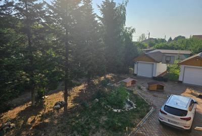 Casă individuală cu 8 camere cu Piscina în Frumușani - 10