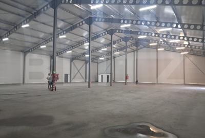 Spațiu industrial, de 1,260 mp, în Cristești