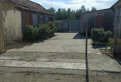 Casă cu Teren 1439 Mp în Alioș