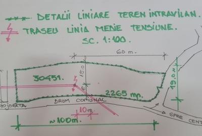 Spațiu comercial, în Pojorâta