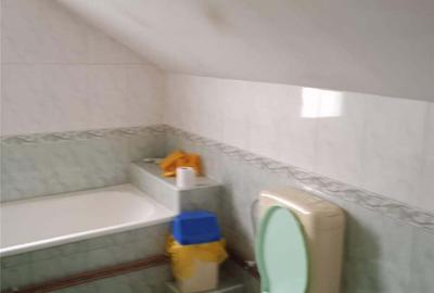 Casă cu 5 camere cu Teren 4020 Mp în Marița - 2