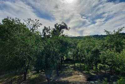 Casă cu 3 camere cu Teren 1000 Mp în Oteștii de Jos