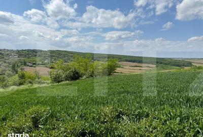 Teren de 6800 mp, în Bălușeni