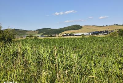 Teren de 559 mp, în Ernei