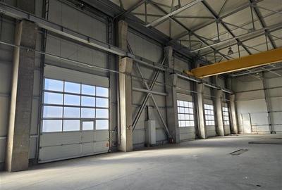 Spațiu industrial, de 719 mp, în Ciorogârla - 3