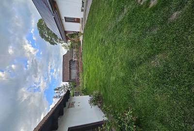 Casă cu Teren 3500 Mp în Zălan - 3