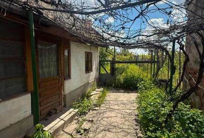 Casă cu 3 camere în 1 Mai - 6